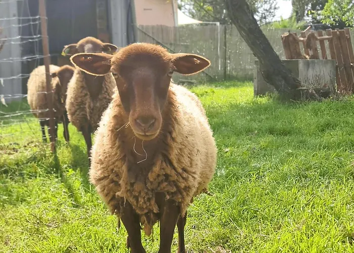 Le Nature Loin De L'oeil Clim Gaillac Entre Albi-toulouse & Les Du Tarn
