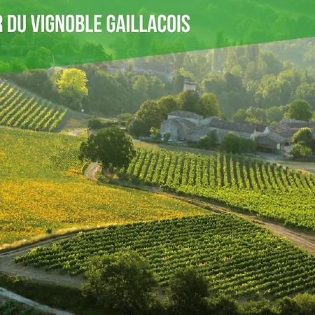 Le Nature Loin De L'oeil Clim Gaillac Entre Albi-toulouse & Les Du Tarn Dom wakacyjny *