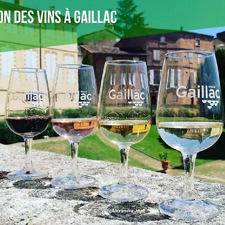 Holiday home Le Nature Loin De L'oeil Clim Gaillac Entre Albi-toulouse & Les Du Tarn *