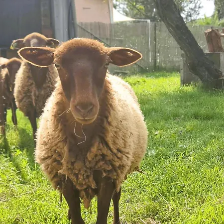 Le Nature Loin De L'oeil Clim Gaillac Entre Albi-toulouse & Les Du Tarn
