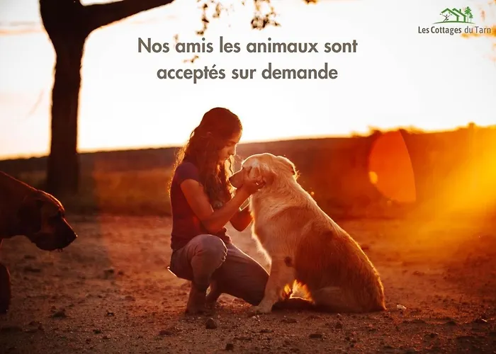 Prázdninový dům Le Nature Loin De L'oeil Clim Gaillac Entre Albi-toulouse & Les Du Tarn *